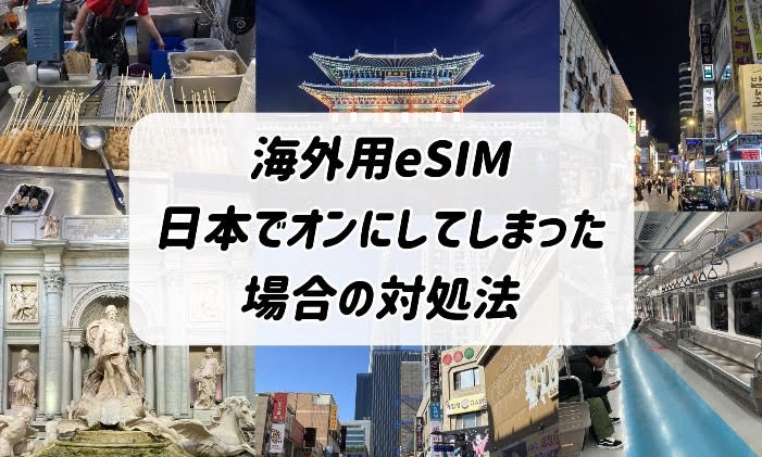 eSIM 日本でオンにしてしまった　対処法