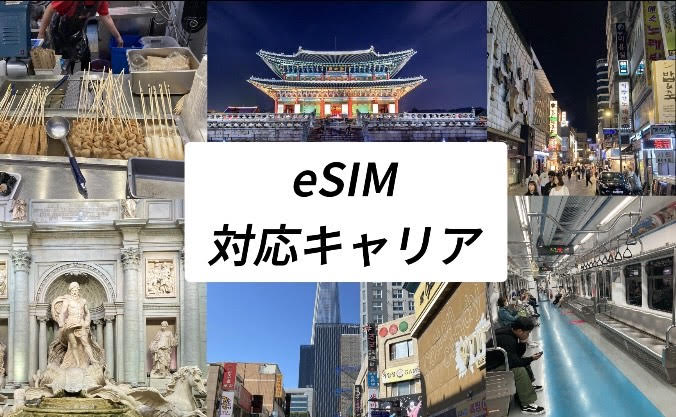 eSIM 対応キャリア