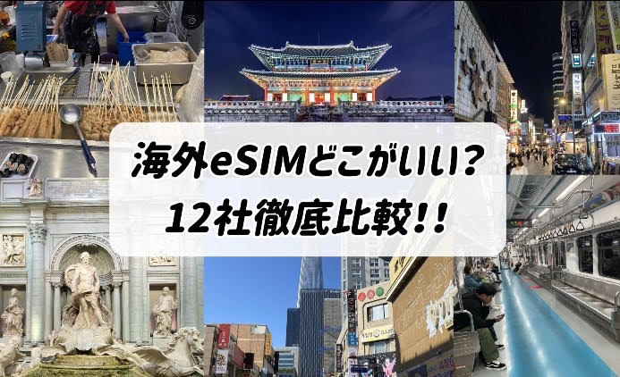 海外eSIM　12社徹底比較