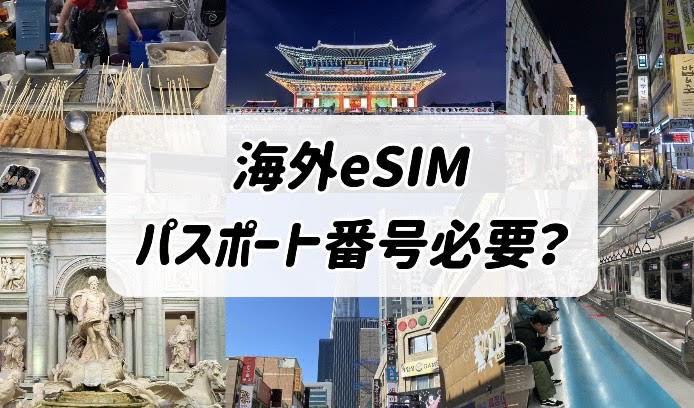 eSIM パスポート番号