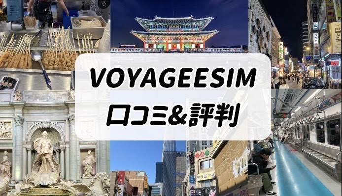 VOYAGEESIM 口コミ・評判