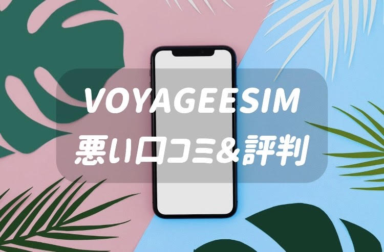 VOYAGEESIM 悪い口コミ・評判