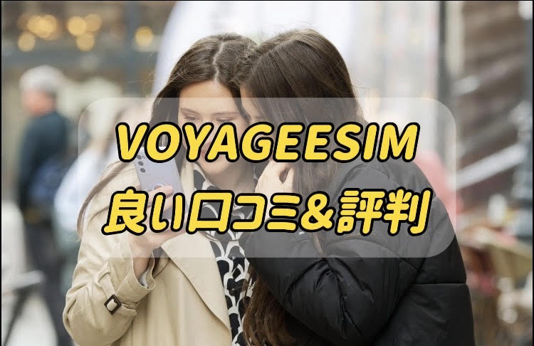 VOYAGEESIM 良い口コミ・評判