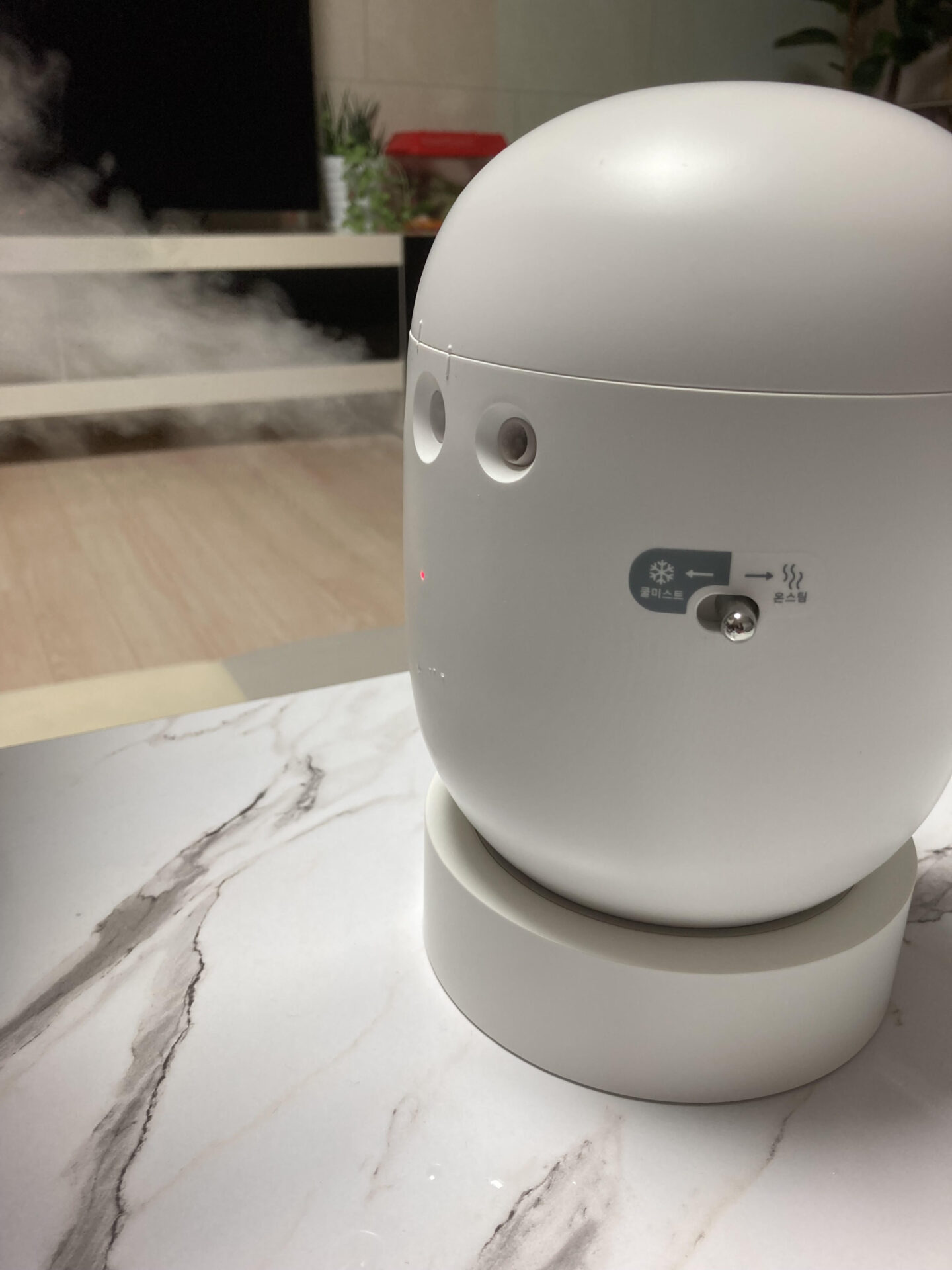 makeon 美顔器 使い方