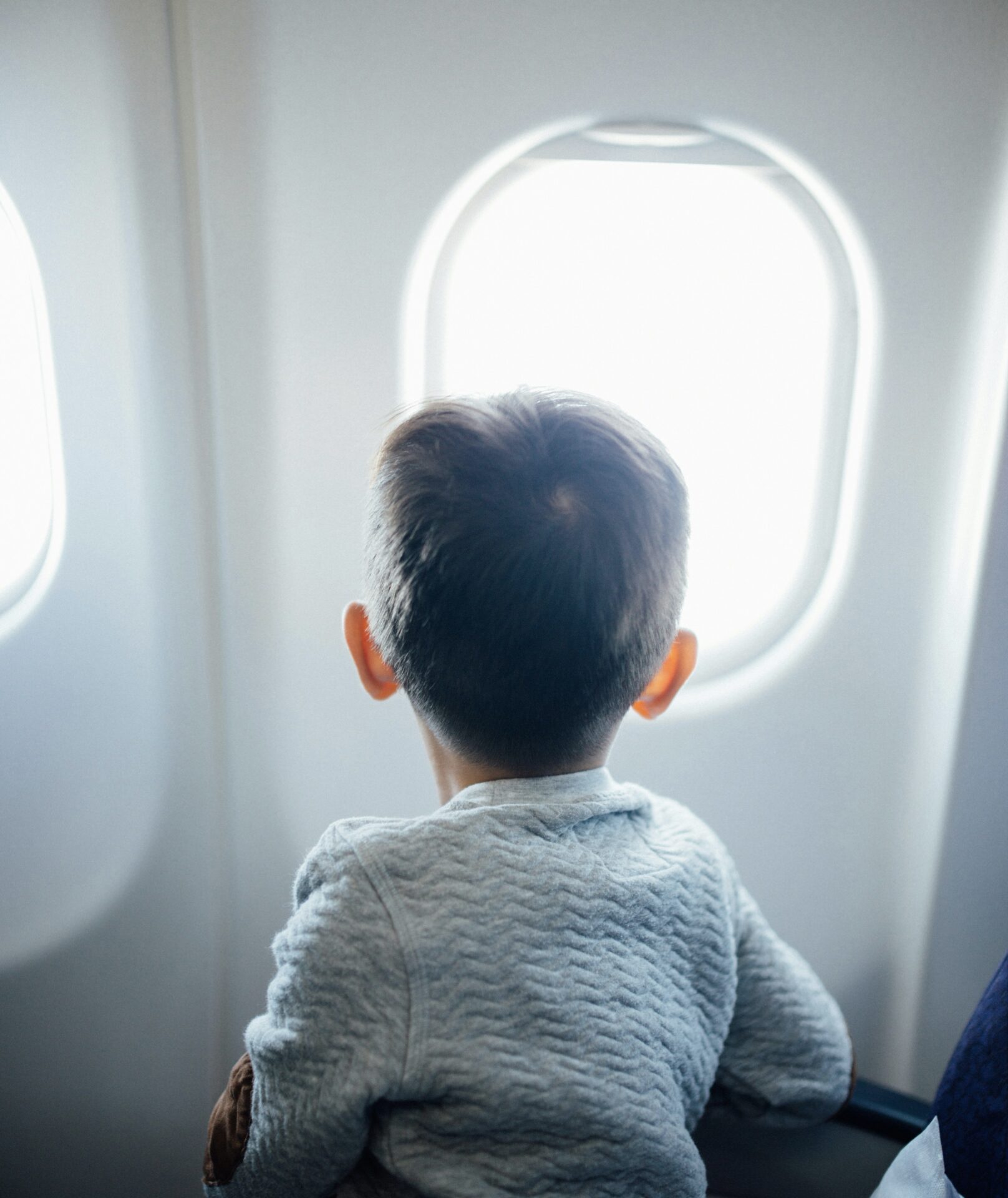 大韓航空 エコノミースタンダード エコノミーセイバー 違い