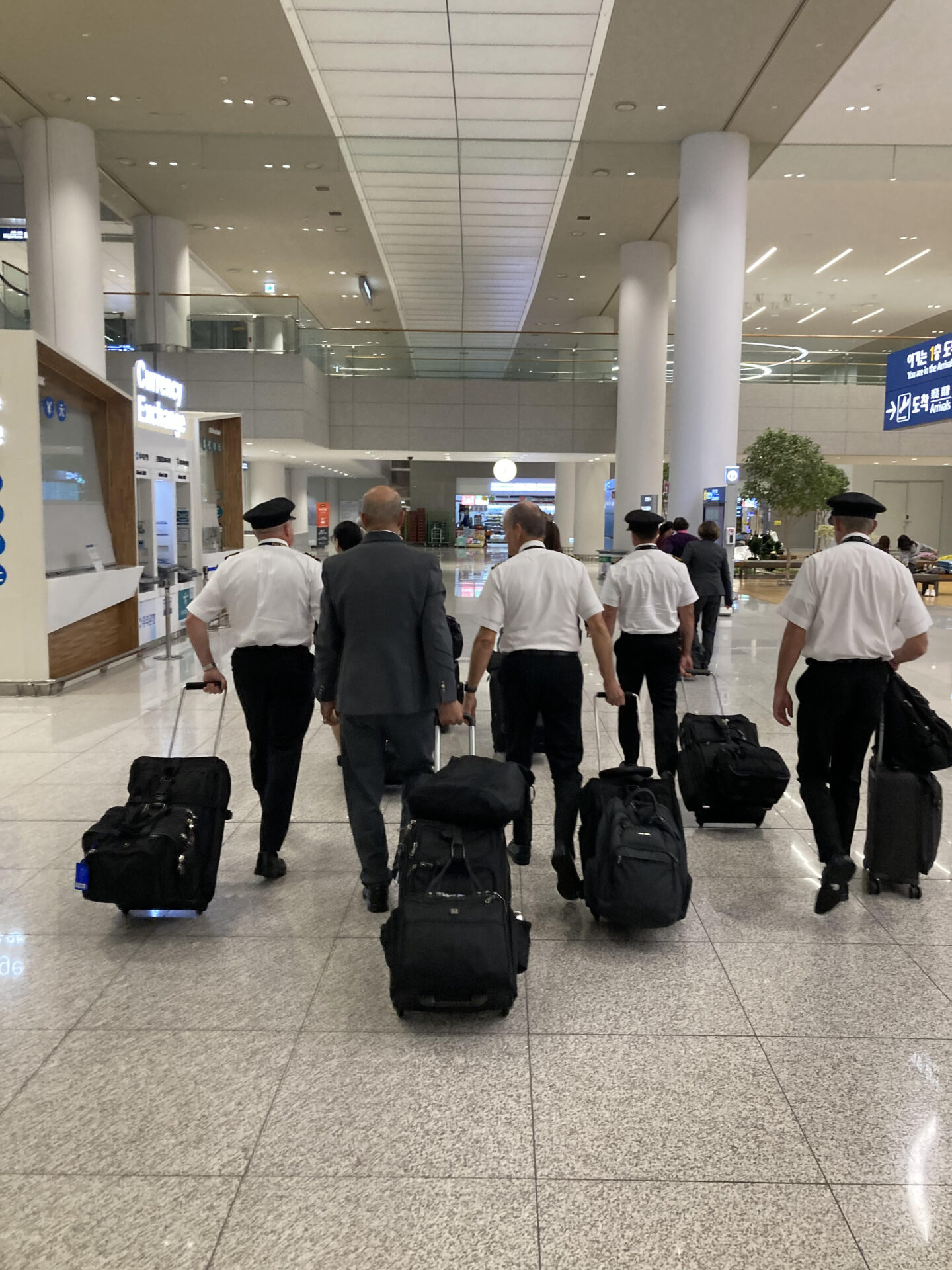 イースター航空 安全性