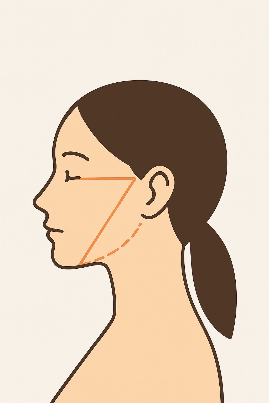ボトックス 輪郭注射 黄金比