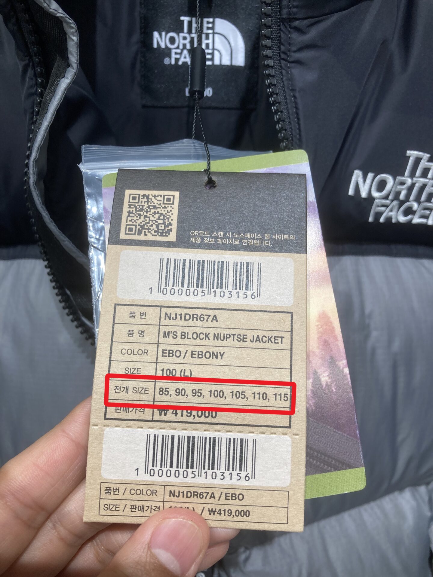 韓国 ノースフェイス ヌプシ サイズ表記