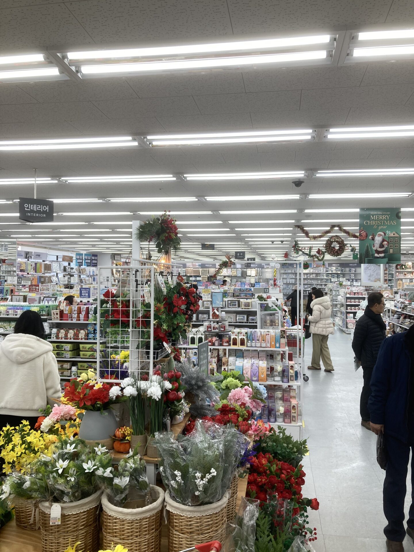 韓国ダイソーで人気の商品一覧