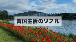 在韓ならではニッチでリアルな体験ベース