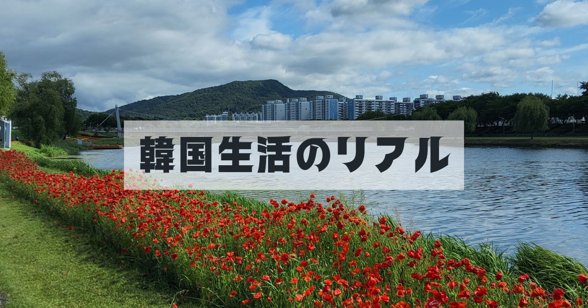 在韓ならではニッチでリアルな体験ベース