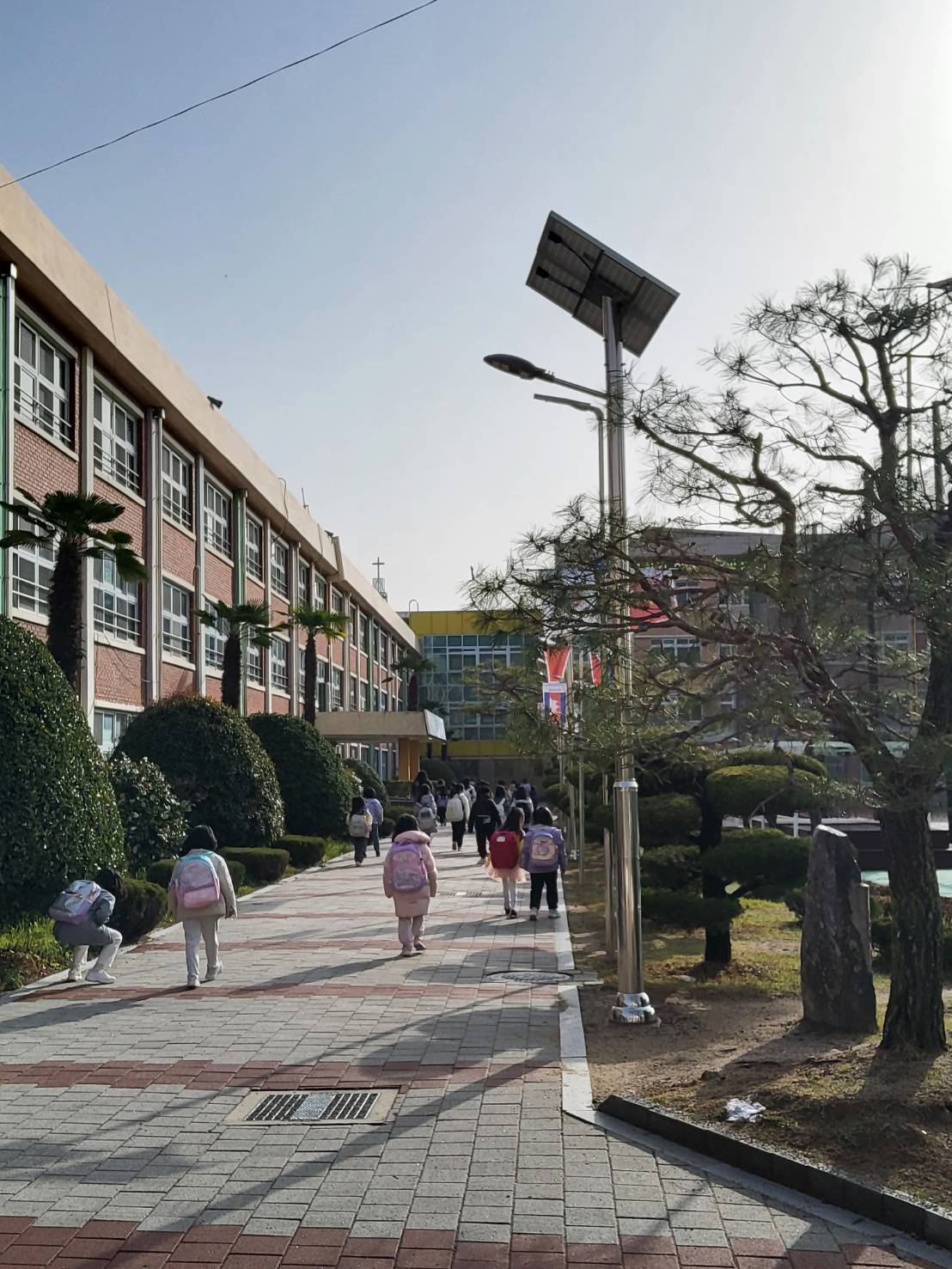 韓国に移住して驚いた！韓国と日本の小学生の違い