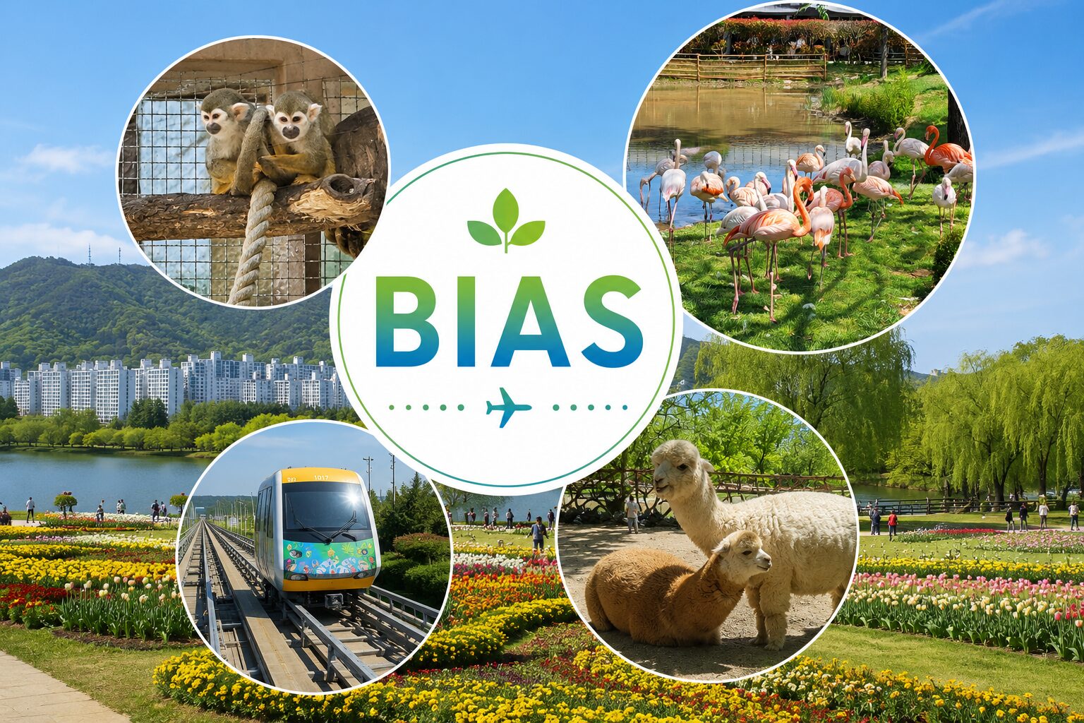 韓国観光公社のキャンペーン「BIAS」とは？推し活で地方観光が変わる理由